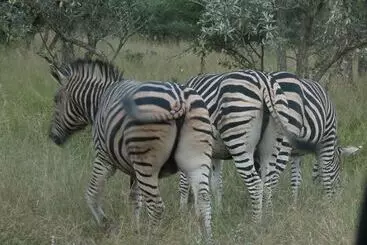 Hotel Sunset Lodge & Safaris