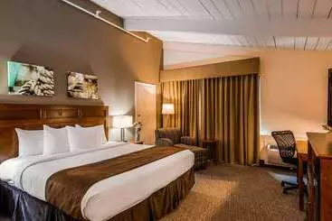 酒店 Best Western Adams Inn Quincy Boston