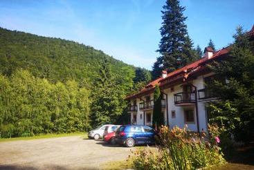 Отель Floarea Reginei