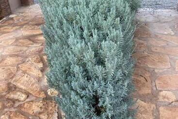 پانسیون Riad Les Trois Merveilles