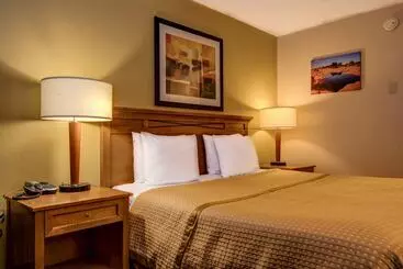 Мотель Cedar Lodge