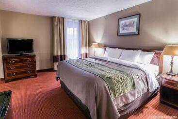 Hotel Bristol Arcadia Inn