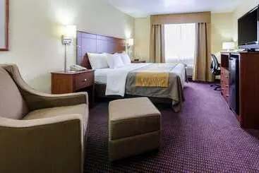 酒店 Comfort Inn