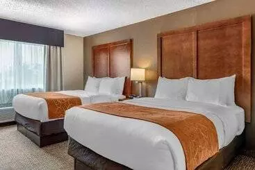 호텔 Comfort Suites Terre Haute University Area