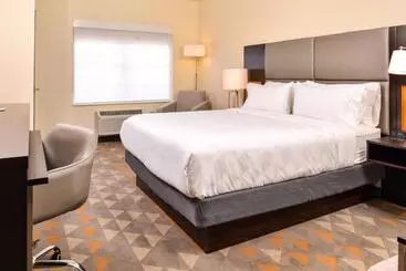 Hotel Holiday Inn & Suites Dallas Addison By Ihg