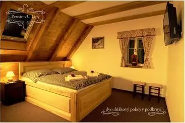 Schronisko Pension U Lipy