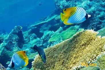 هتل Moodhumaa Inn