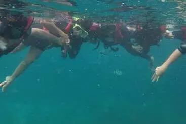 Pension Johan's Place