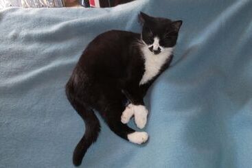 پانسیون Cortijo La Fuensanta