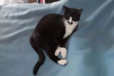 Pensiune Cortijo La Fuensanta