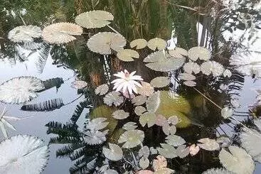 Pansiyon Poivre & Citronnelle