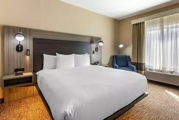 ホテル Comfort Inn & Suites North Dallasaddison