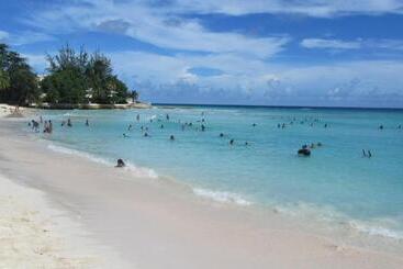 پانسیون Dolphin Inn Guesthouse & Apartments