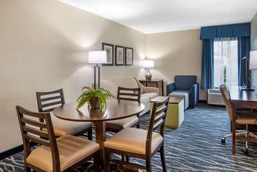 فندق Comfort Inn & Suites Newark  Wilmington