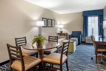 Szálloda Comfort Inn & Suites Newark  Wilmington