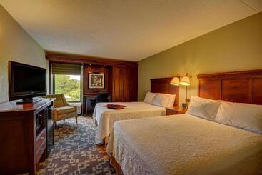 هتل Hampton Inn By Hilton Indianapolis South