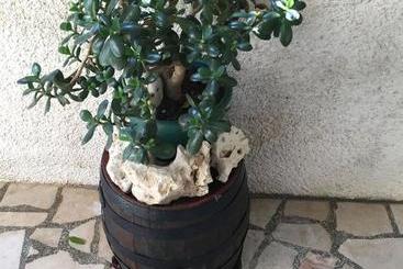 游客公寓 Apartments Tamara