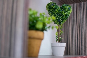 Жильё для туристов Avra Comfort Rooms  Family