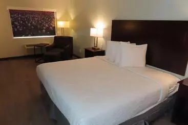 酒店 Best Western Childress West