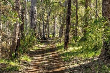 آپارتمان‌های توریست‌ها The Deck