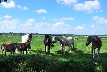 ツーリストアパートメント Elbhus Hamburg