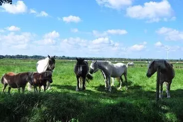 Turistihuoneistot Elbhus Hamburg