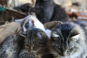 コテージ La Grange D Hannah   Gîte & Chambre D’hôtes De Charme