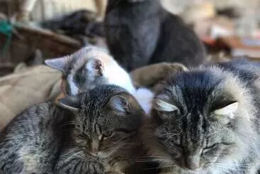 Cottage La Grange D Hannah   Gîte & Chambre D’hôtes De Charme