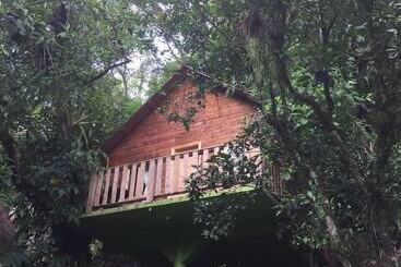 בית מלון כפרי Cabañas Y Casas Del árbol La Huerta