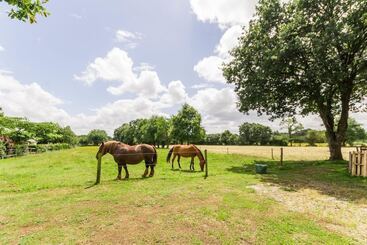 ベッドアンドブレックファースト Le Relais De Vérone Chambre D Hôtes