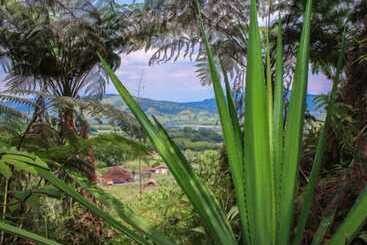 Fogadó Ecolife Calima