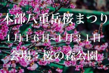 ツーリストアパートメント Family Lodge Nanjo