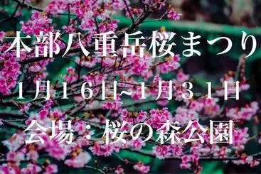 Apartaments turístics Family Lodge Nanjo