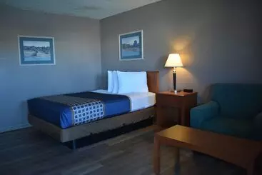 호텔 Satellite Inn