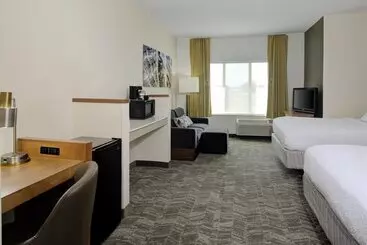 酒店 Springhill Suites By Marriott Memphis East Galleria