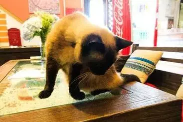 Hotelli Hofang Guest House