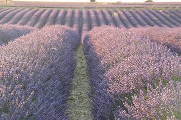 تختخواب و صبحانه Chambres D Hotes Elisa & Etienne