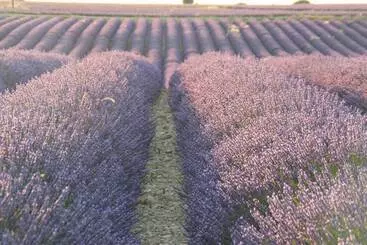 Aamiaismajoitus (B&B) Chambres D Hotes Elisa & Etienne