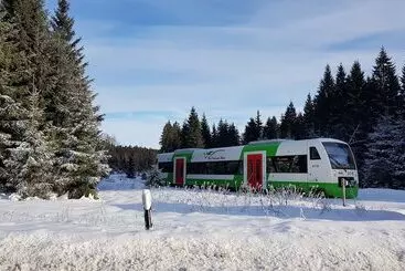 Apartamenty turystyczne Ferienhaus Victoria