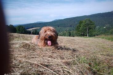 Pension Aura špičák, Některé Pokoje Se Saunou
