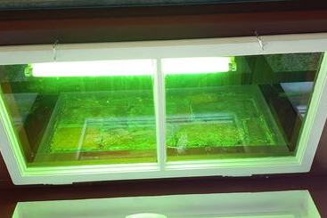 آپارتمان‌های توریست‌ها Villa Coola