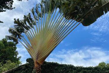 Pensão Bahia Mar Pousada