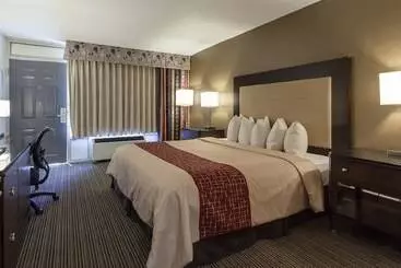 酒店 Red Roof Inn & Suites Dekalb