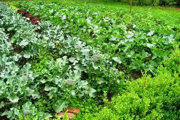 فندق Virginia Park Lodge