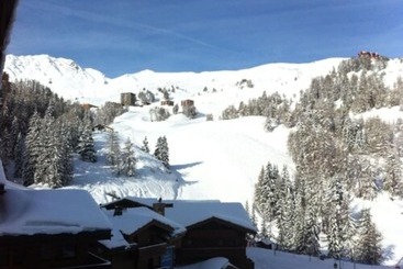 Chalet Hotel Rhododendrons