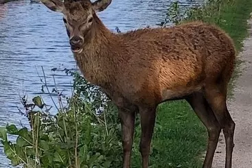 The Dog & Doublet Inn