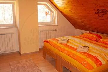 بنسيون Penzion Salamander