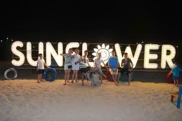هاستل Sunflower Nhật Lệ