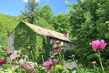 הוסטל The Cascades