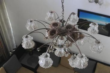 مبيت وإفطار Bird S Nest By Natures Bliss